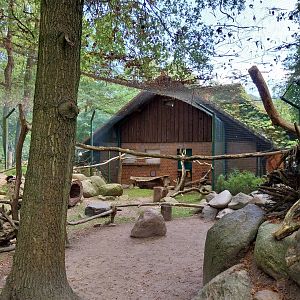 Former Elephant House - Mixed species enclosure