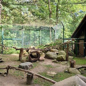 Former Elephant House - Mixed species enclosure