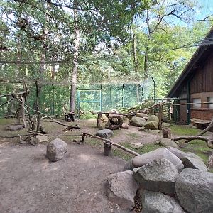 Former Elephant House - Mixed species enclosure
