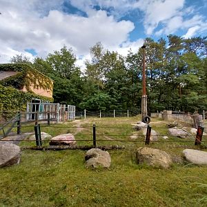 Former Elephant House - Baird's Tapir (Tapirus Bairdii) enclosure