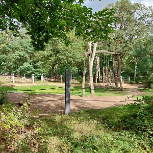 Elephant House - South-East Asian Elephant (Elephas maximus indicus)