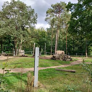Elephant House - South-East Asian Elephant (Elephas maximus indicus)