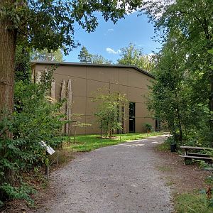 Elephant House - South-East Asian Elephant (Elephas maximus indicus)