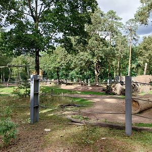 Elephant House - South-East Asian Elephant (Elephas maximus indicus)