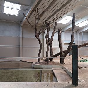 Elephant House - South-East Asian Elephant (Elephas maximus indicus)