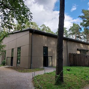 Elephant House - South-East Asian Elephant (Elephas maximus indicus)