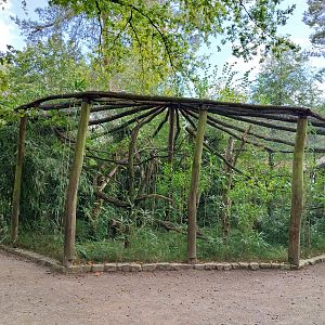Tapir House - Bearded Emperor Tamarin (Saguinus imperator subgrisescens)