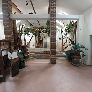 Tapir House - Baird's Tapir (Tapirus bairdii)