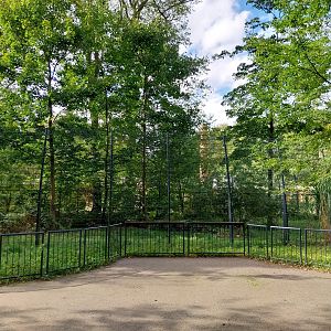 Carnivore House - Sumatran Tiger (Panthera tigris sumatrae)