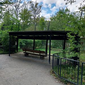 Carnivore House - Sumatran Tiger (Panthera tigris sumatrae)