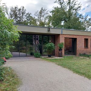 Carnivore House - Entrance near Père David Roch Squirrel
