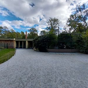 Carnivore House - North Chinese Leopard (Panthera pardus japonensis) - Second enclosure and main entrance