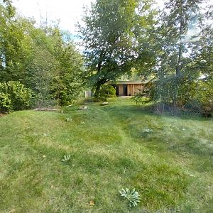 Carnivore House - Giant Otter (Pteronura brasiliensis)