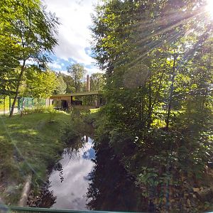 Carnivore House - Giant Otter (Pteronura brasiliensis)