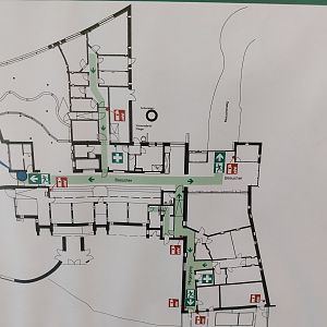 Carnivore House - Floor plan