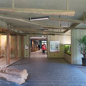 Carnivore House - General view