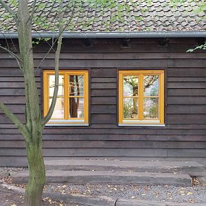 Silvery Marmoset (Mico argentatus) and Lowland Paca (Cuniculus paca)