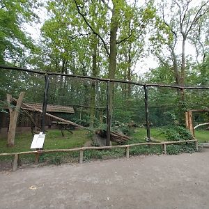 Lynx enclosure