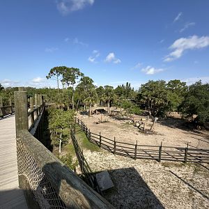 Mar. 2025 - Expedition Africa - Boardwalk Overview