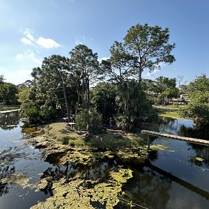 Mar. 2025 - Expedition Africa - Lemur Island