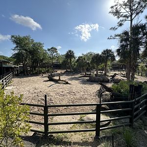 Mar. 2025 - Expedition Africa - Rhino/Oryx Enclosure