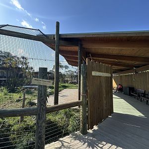 Mar. 2025 - Lion Viewing Area - new for 2024