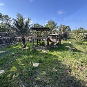 Mar. 2025 - Lion Enclosure - new for 2024