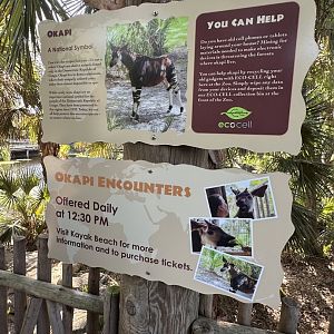 Mar. 2025 - Expedition Africa - Okapi Signage