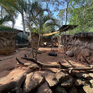 Mar. 2025 - Expedition Africa - Meerkat Enclosure