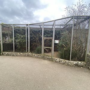 Laughing kookaburra aviary
