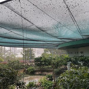 Aviary