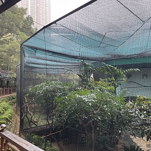 Aviary