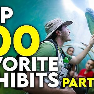 My Top 100 Favorite Zoo Exhibits - PART ONE