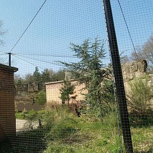 Waldrapp walk-through aviary, 2010-04-18