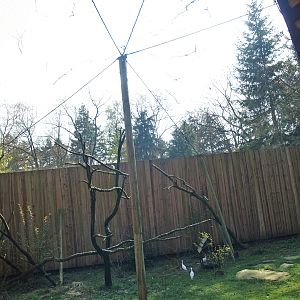 South American aviary (Now the Hanuman langur exhibit), 2010-04-18