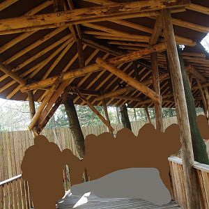 South American aviary walkway (Now the Hanuman langur exhibit), 2010-04-18