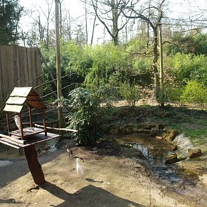 South American aviary (Now the Hanuman langur exhibit), 2010-04-18