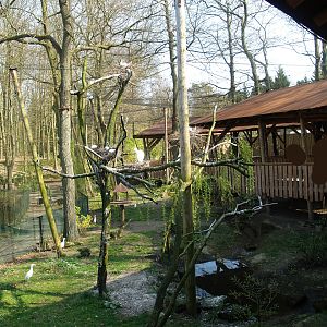South American aviary (Now the Hanuman langur exhibit), 2010-04-18