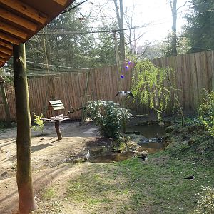South American aviary (Now the Hanuman langur exhibit), 2010-04-18