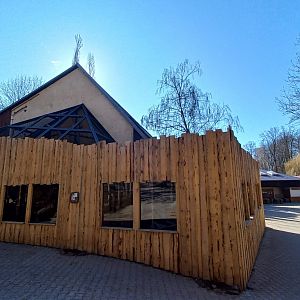 Roloway monkey exhibit