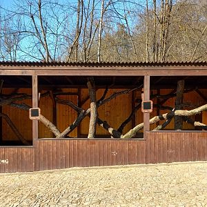 Future small cat exhibit