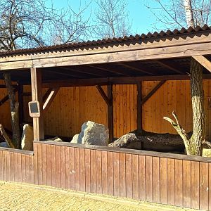 Future small cat exhibit