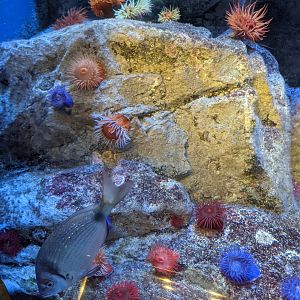 Coastal Waters of South Africa