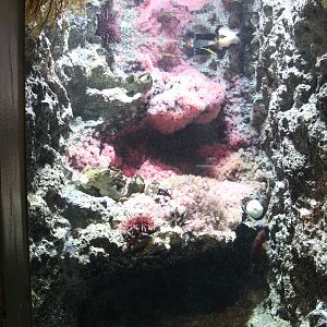 West Coast of Canada