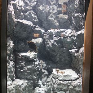 Coastal Waters of Chile