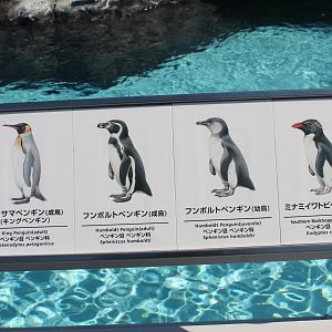 Penguin signage