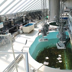 "Behind-the-scenes" public view