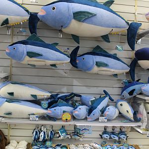 Toy tuna in gift shop