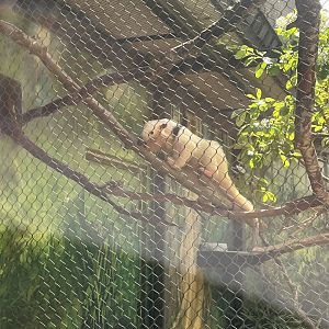 Natural Encounters outdoor section