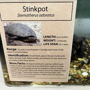 Sign - Stinkpot